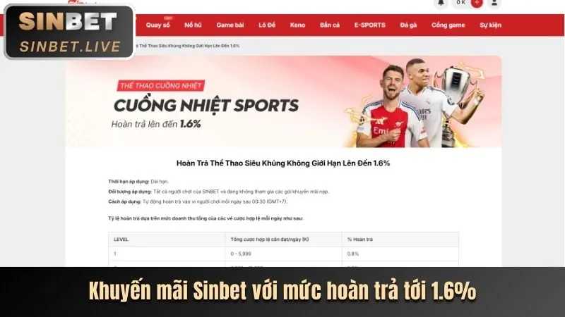 Liên kết dự phòng ổn định